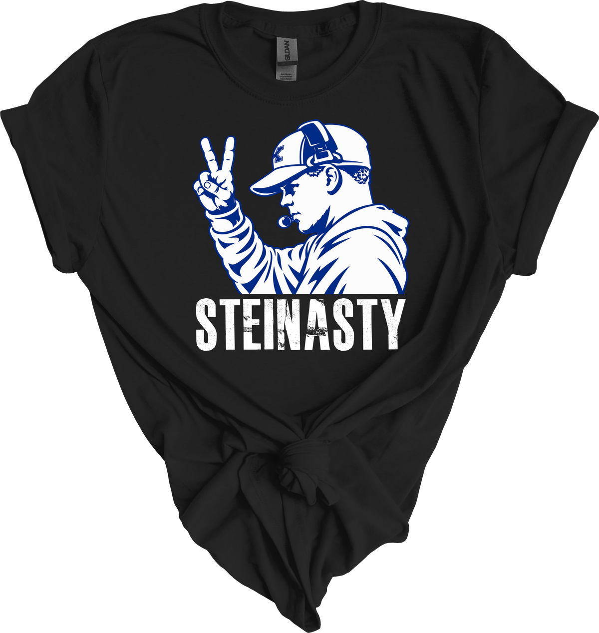 Steinasty