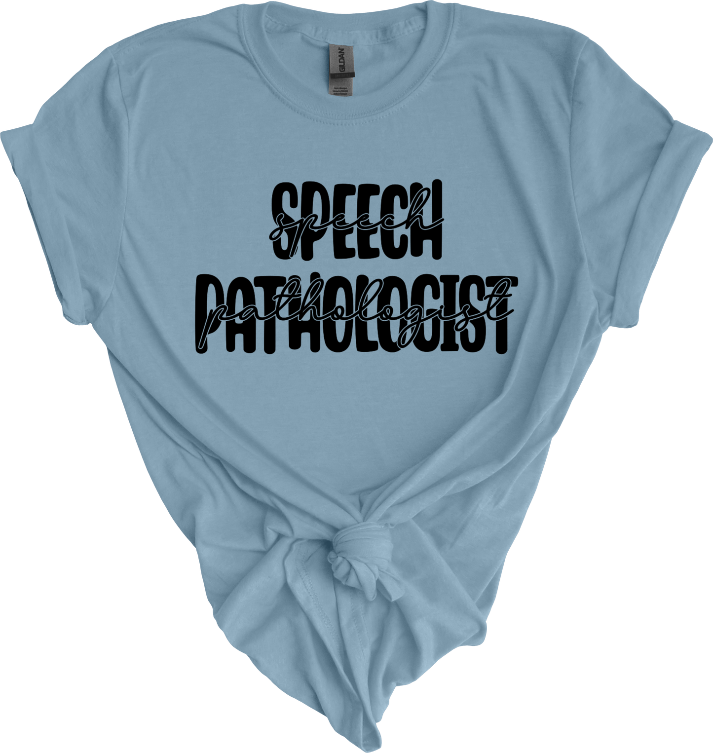 Speech Pathologist