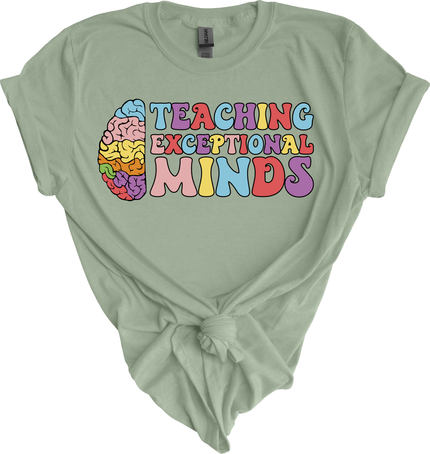 Teaching exceptional minds