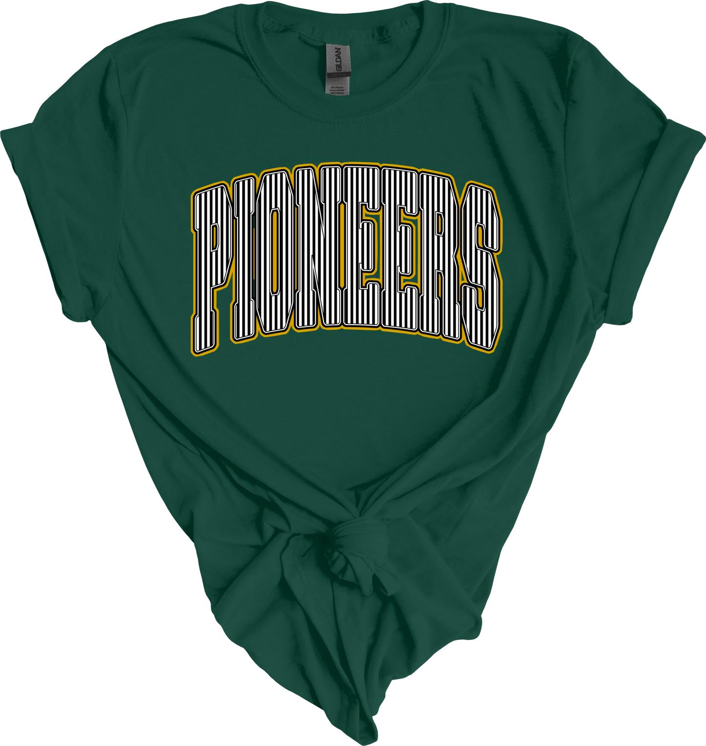Pioneers stripe design
