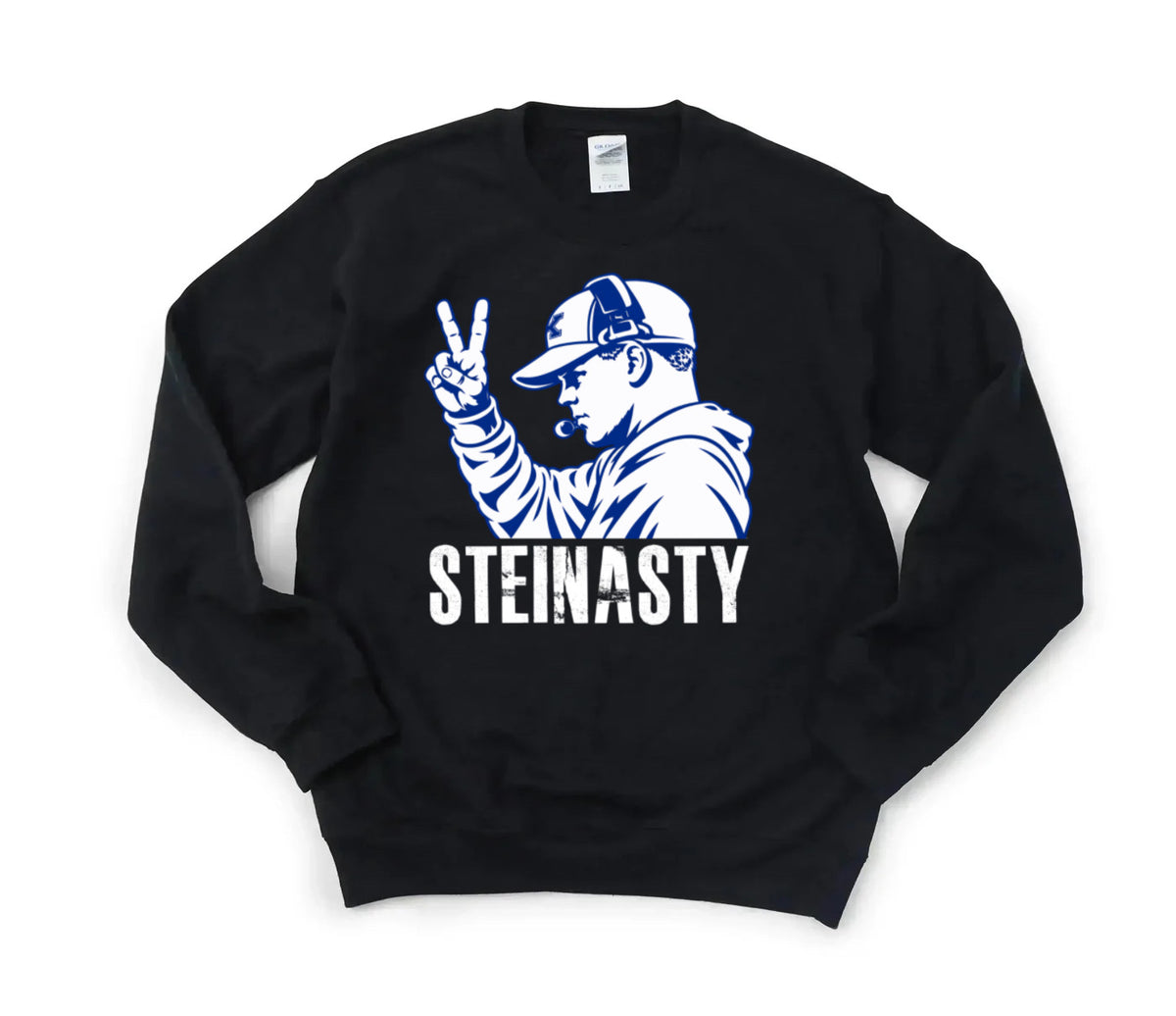 Steinasty