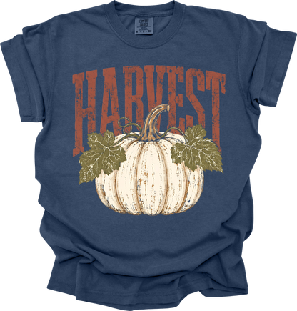 Harvest comfort colors