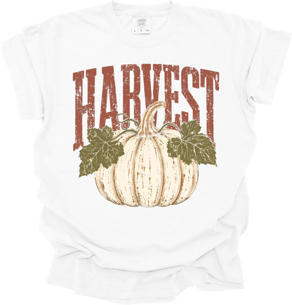Harvest comfort colors
