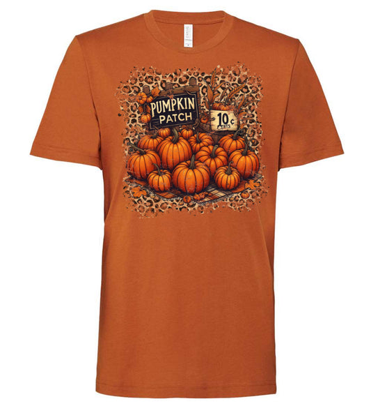 Pumpkin patch cheetah