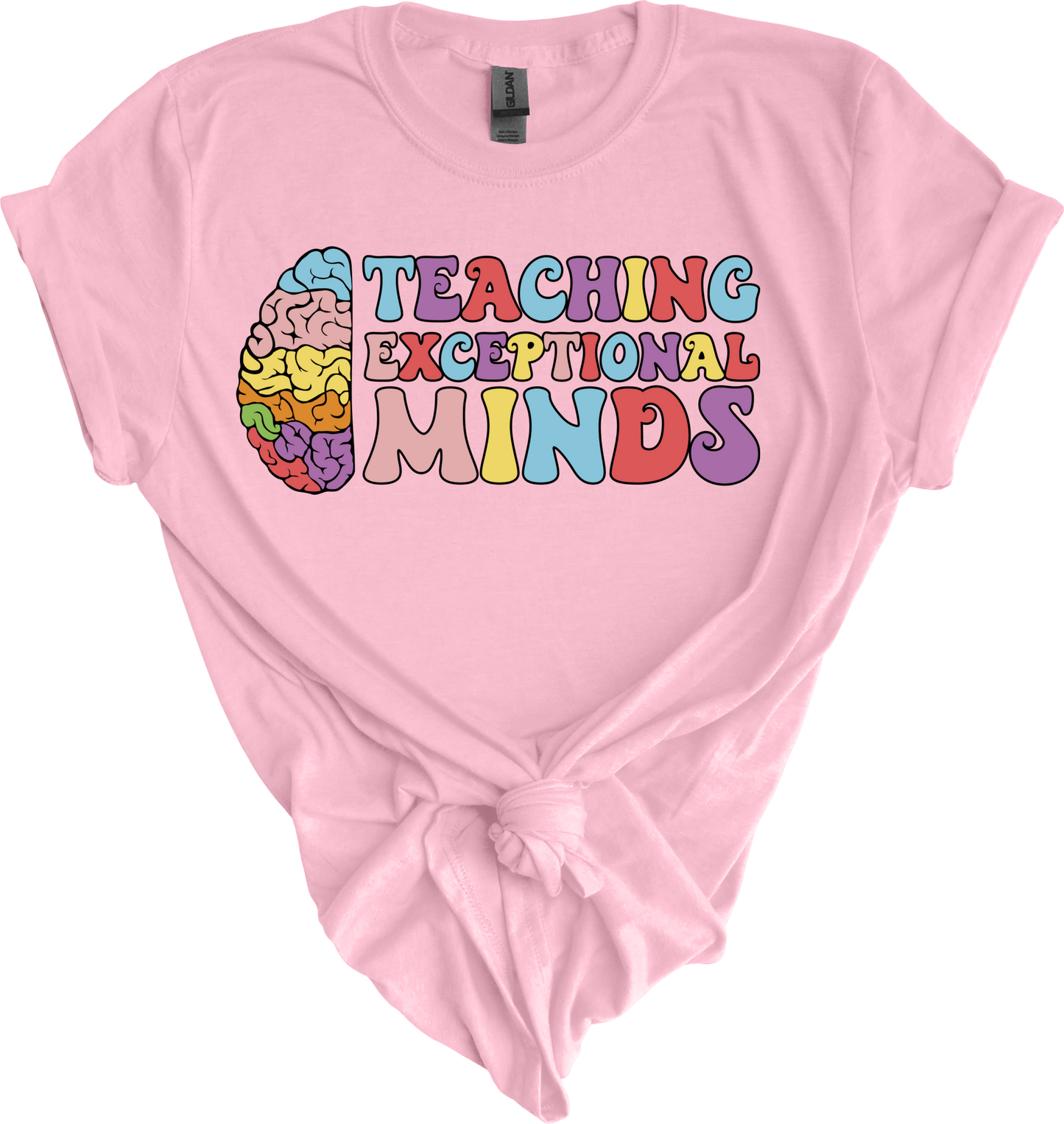 Teaching exceptional minds