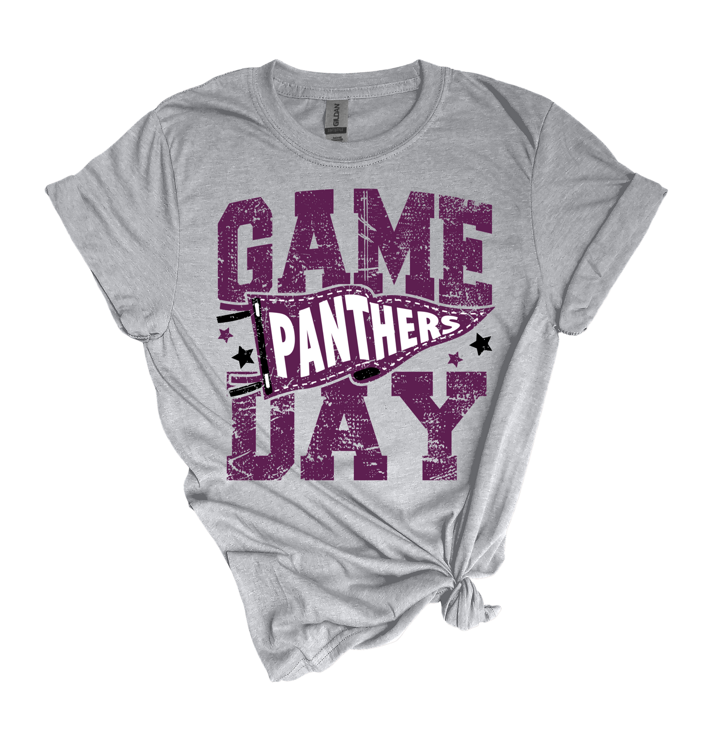 Panthers Game Day