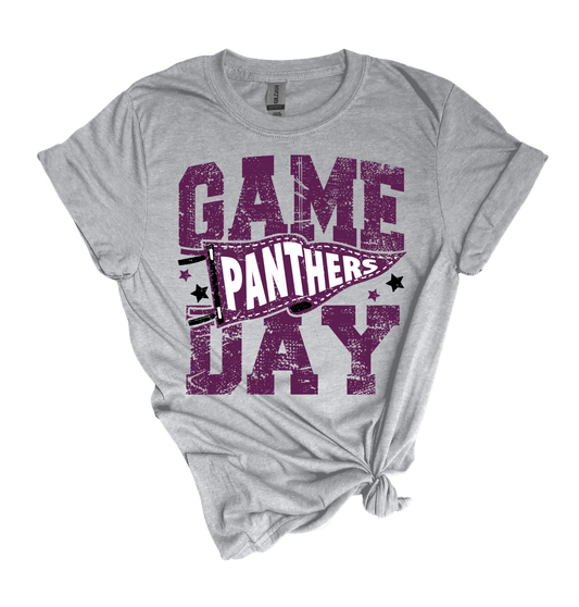 Panthers Game Day