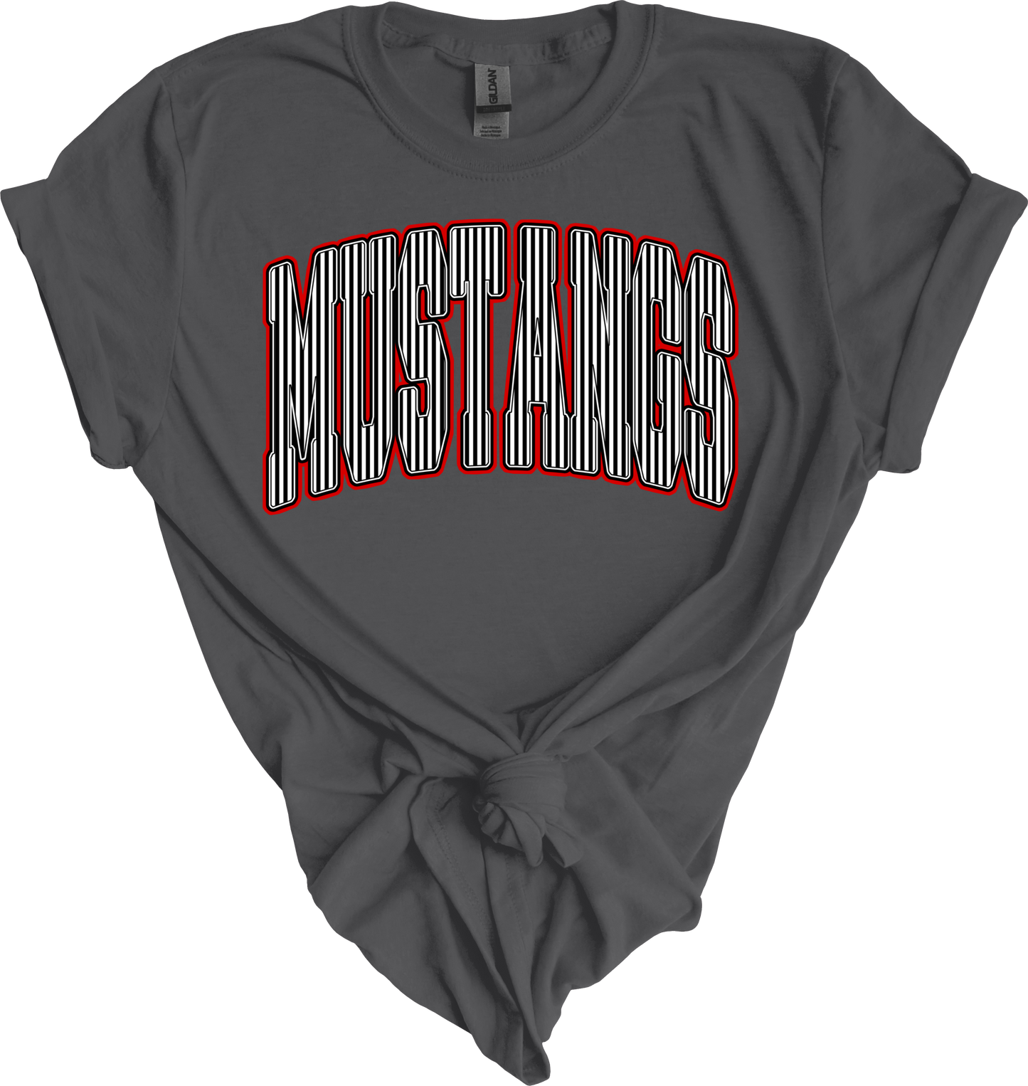 Mustangs stripe design